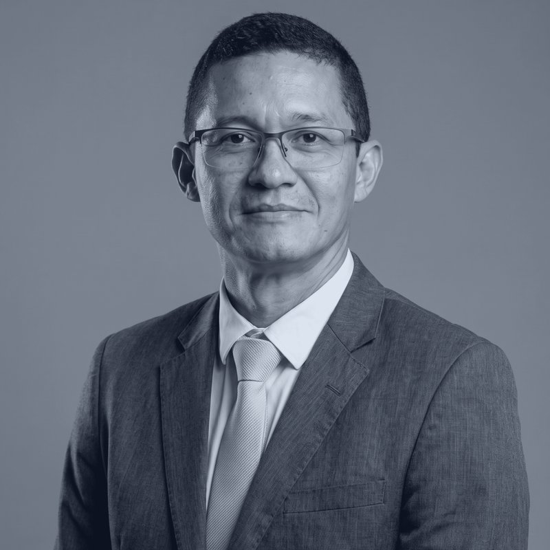 Carlos Vinícius Reis